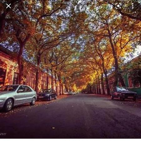 住宿加早餐酒店 Intermezzo Caffe