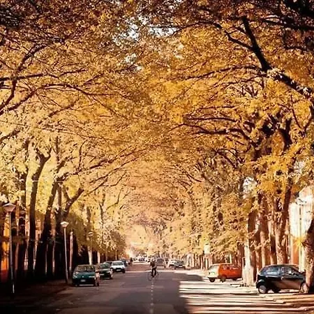 Intermezzo Caffe 4* Kikinda